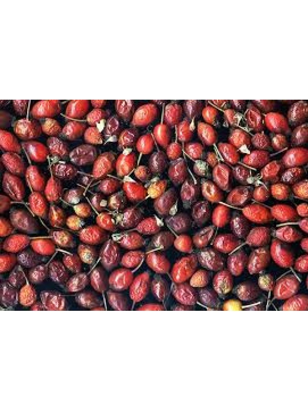 KIRIK KUŞBURNU 1 KG