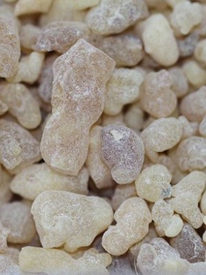 GÜNLÜK SAKIZI 1 KG