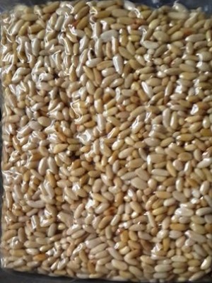 DOLMALIK YER FISTIĞI 1KG